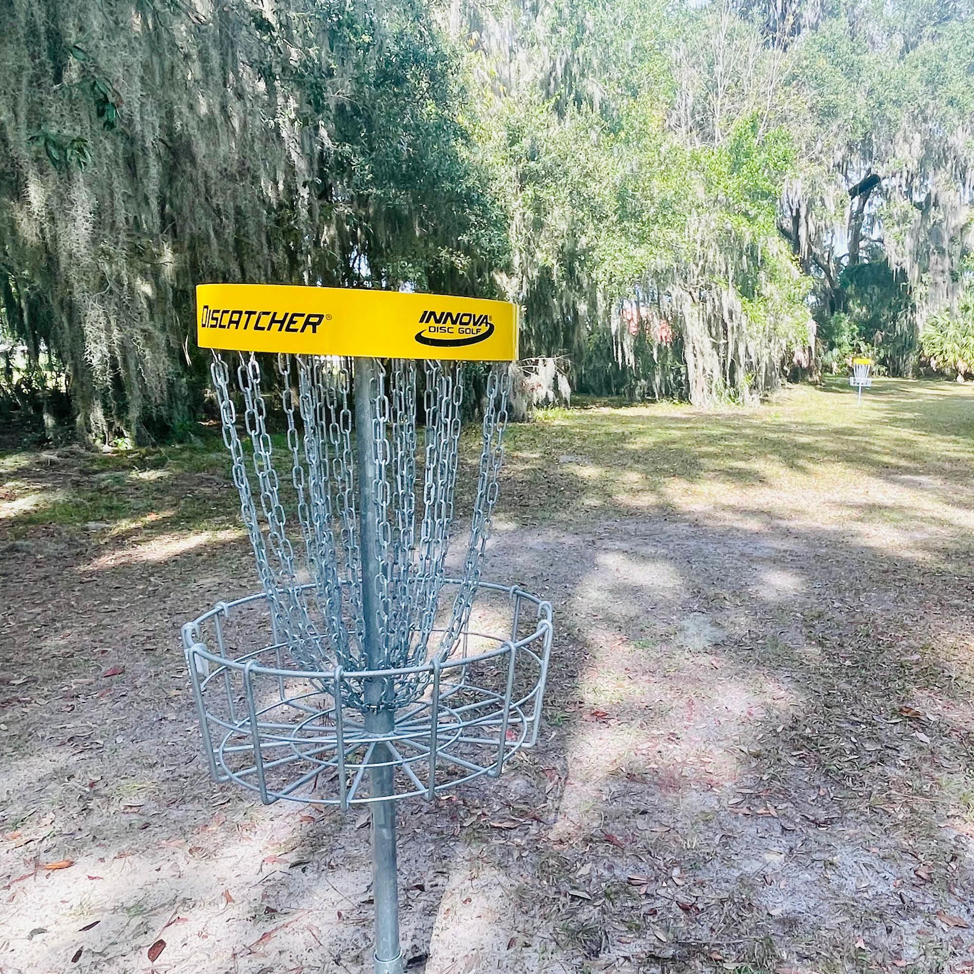 Disc Golf basket surrounded by oak trees