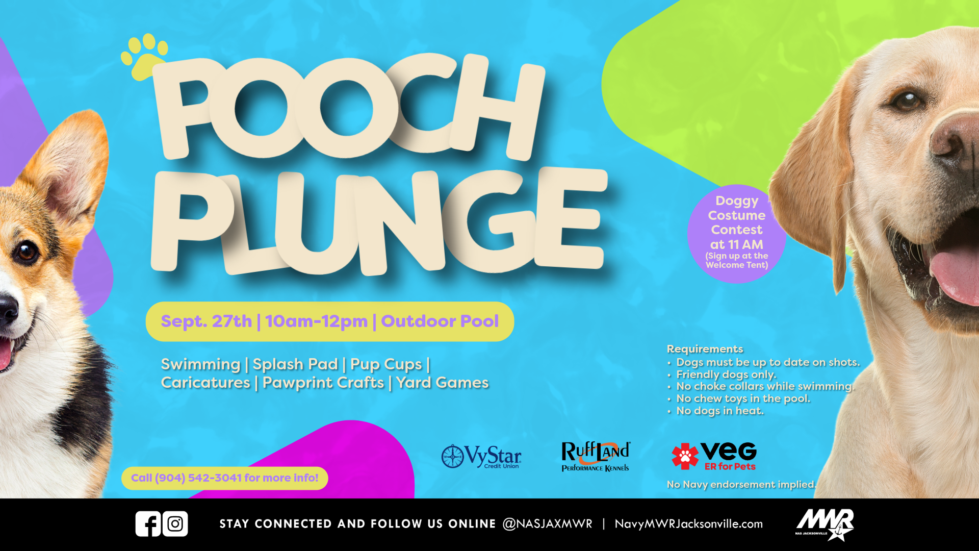 Pooch Plunge Ad