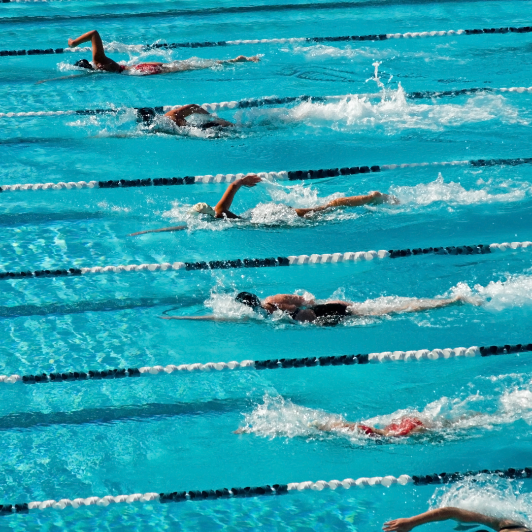 People Swimming Laps in Pool