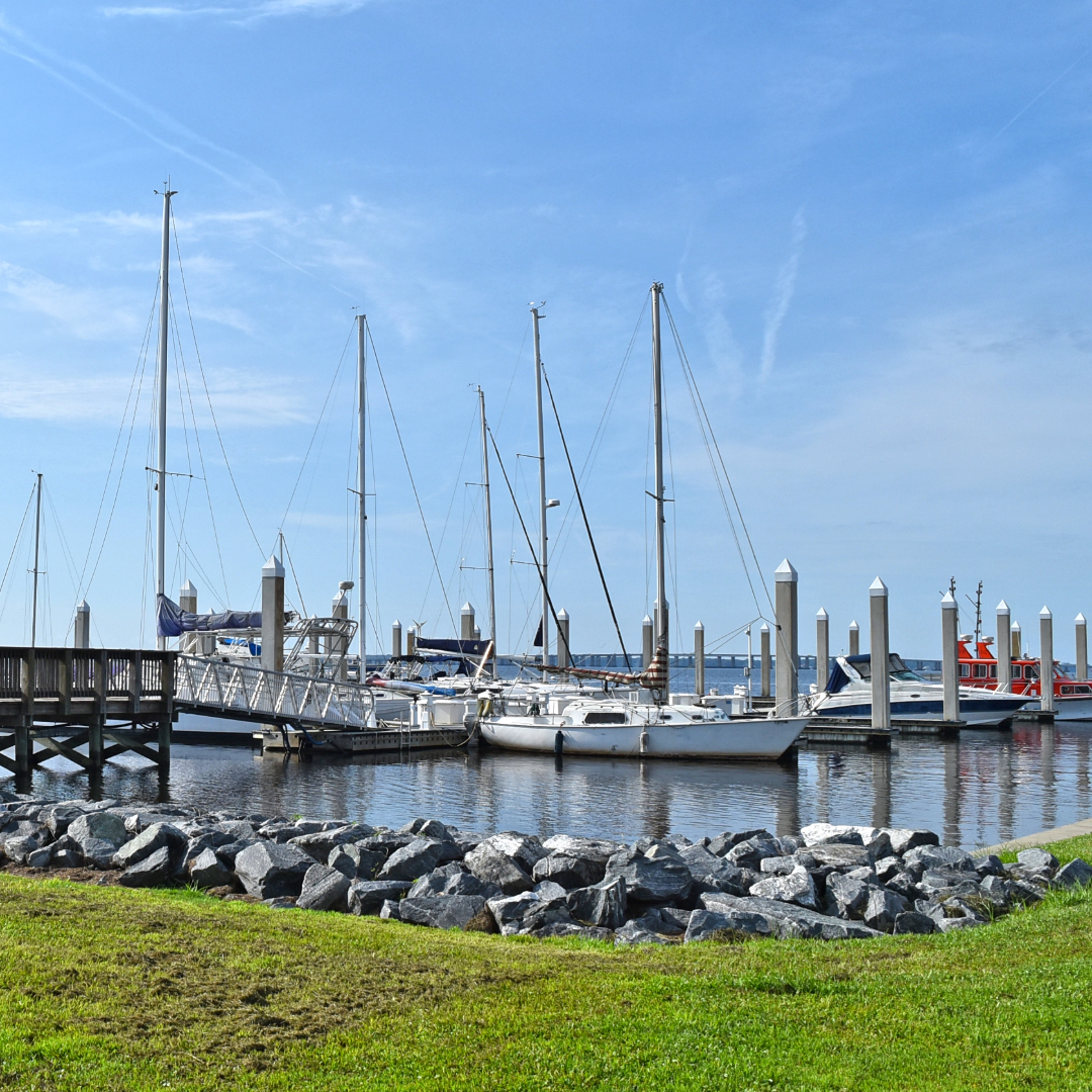 Boats at Marina